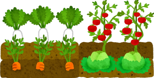 大曲戸マルシェ